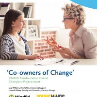 Co Owners of CAMHS Change report