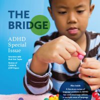 The Bridge_Jan18 front cover